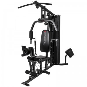 ΠΟΛΥΟΡΓΑΝΟ (MSX-50) Toorx