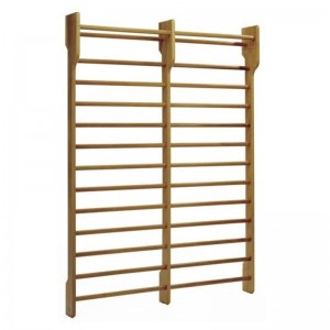 ΠΟΛΥΖΥΓΟ (AHF-159) 250x180cm Toorx