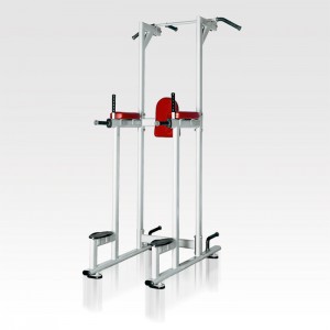 VIKING H-027 Vertical Knee Raise Μονόζυγο/Δίζυγο VIKING H-027 Vertical Knee Raise Μονόζυγο/Δίζυγο