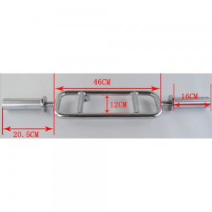 Ολυμπιακή Μπάρα Τρικέφαλων Φ50 Viking