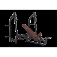 Luxury Incline Bench H-025 (VIKING) Luxury Incline Bench H-025 (VIKING)