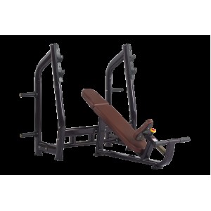 Luxury Incline Bench H-025 (VIKING) Luxury Incline Bench H-025 (VIKING)