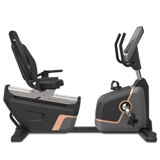 VIKING R-007 PRO BIKE ΚΑΘΙΣΤΟ ΠΟΔΗΛΑΤΟ 