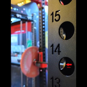 Viking Black Beast All In One Trainer Viking Black Beast All In One Trainer