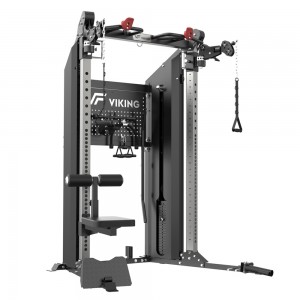 VIKING CFT Functional Trainer