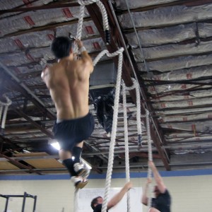 ΣΧΟΙΝΙ CROSS FIT 15M X 38MM (ΜΑΥΡΟ) OPTIMUM ΣΧΟΙΝΙ CROSS FIT 15M X 38MM (ΜΑΥΡΟ) OPTIMUM