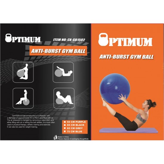 GYM BALL 65CM (ΓΚΡΙ) ANTI-BURST 1100GR OPTIMUM 