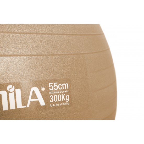 Μπάλα Γυμναστικής AMILA GYMBALL 55cm Χρυσή Bulk Μπάλα Γυμναστικής AMILA GYMBALL 55cm Χρυσή Bulk