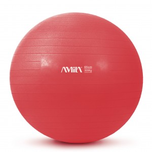Μπάλα Γυμναστικής AMILA GYMBALL 65cm Κόκκινη Bulk Μπάλα Γυμναστικής AMILA GYMBALL 65cm Κόκκινη Bulk