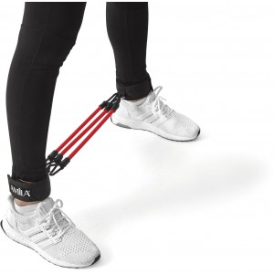 Σετ Εκγύμνασης Ποδιών Σκληρό Σετ Εκγύμνασης Ποδιών Σκληρό