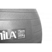 Μπάλα γυμναστικής AMILA GYMBALL 75cm Γκρι Μπάλα γυμναστικής AMILA GYMBALL 75cm Γκρι
