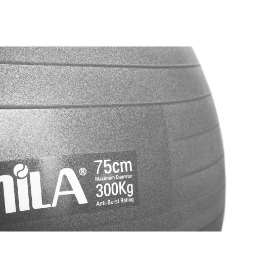 Μπάλα γυμναστικής AMILA GYMBALL 75cm Γκρι Μπάλα γυμναστικής AMILA GYMBALL 75cm Γκρι