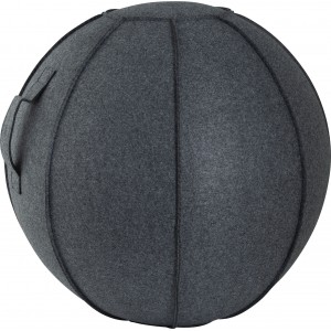 Κάλυμμα για Μπάλα Γυμναστικής AMILA GYMBALL 75cm Κάλυμμα για Μπάλα Γυμναστικής AMILA GYMBALL 75cm