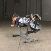 Body-Solid Seated Leg Extension & Supine Curl 