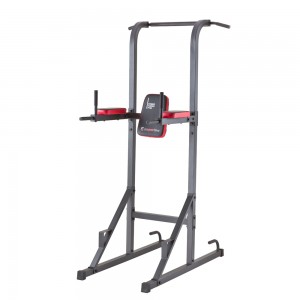 Power Tower PT80 InSportline(Μονόζυγο/Δίζυγο)