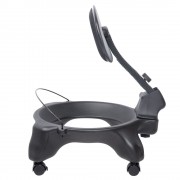 Ball Chair inSPORTline G-Chair 