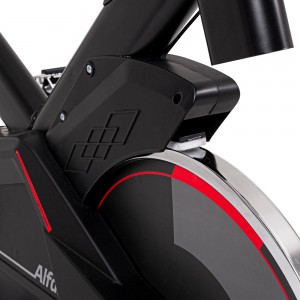 SPIN BIKE inSPORTline Alfan