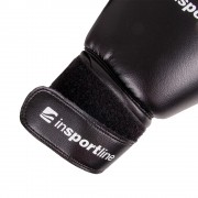 Boxing Gloves (10oz) inSPORTline Metrojack 