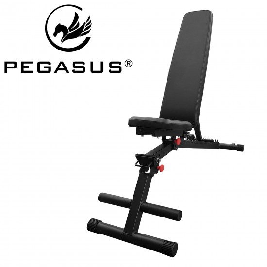 Pegasus® Ρυθμιζόμενος Πάγκος FB3i (QJ30) Pegasus® Ρυθμιζόμενος Πάγκος FB3i (QJ30)