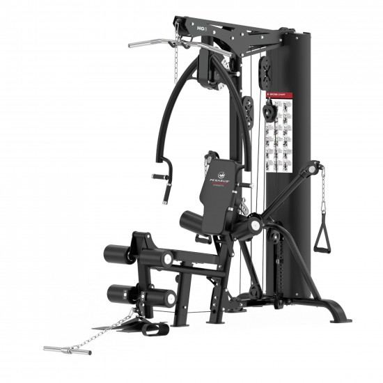 Πολυόργανο Pegasus® HG8 