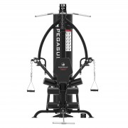Πολυόργανο Pegasus® HG8 