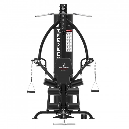 Πολυόργανο Pegasus® HG8 