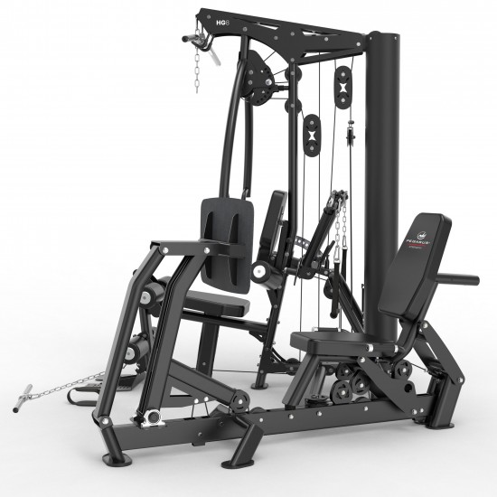 Πολυόργανο Pegasus® HG8 
