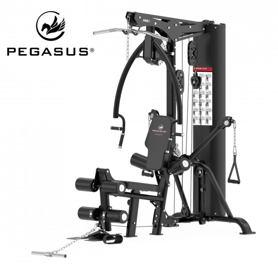 Πολυόργανο Pegasus® HG8 