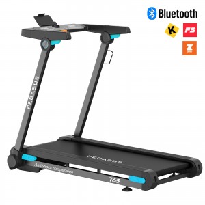Διάδρομος Γυμναστικής Pegasus® T65 2.25ΗΡ