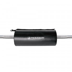 Pegasus® Μαξιλάρι Hip Thruster Pegasus® Μαξιλάρι Hip Thruster