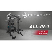 Pegasus® PG-2000 All-In-One Trainer 