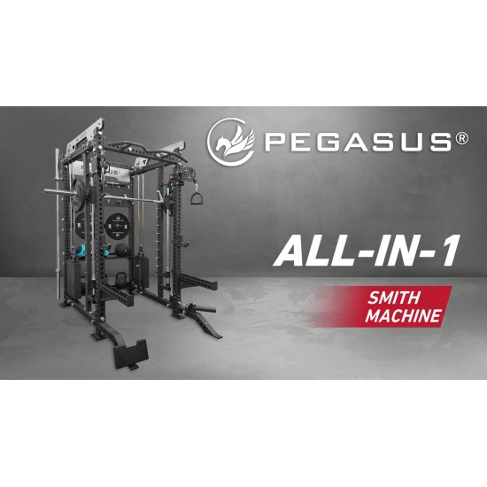 Pegasus® PG-2000 All-In-One Trainer 