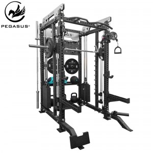 Pegasus® PG-2000 All-In-One Trainer