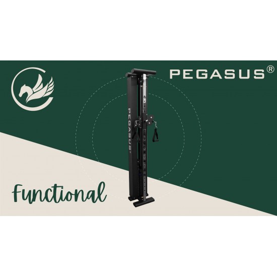 Functional Trainer Τοίχου Pegasus® T-SC01 