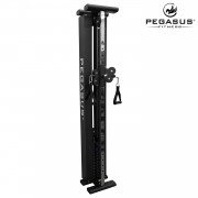 Functional Trainer Τοίχου Pegasus® T-SC01 