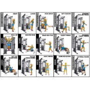 Pegasus® Functional Trainer Pro 