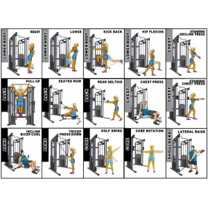 Pegasus® Functional Trainer Pro Pegasus® Functional Trainer Pro