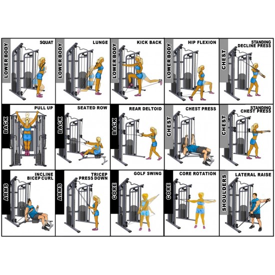 Pegasus® Functional Trainer Pro 