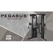 Pegasus® Functional Trainer Pro 