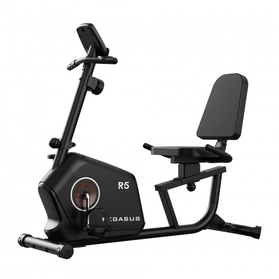 Pegasus® Καθιστό Ποδήλατο R5 