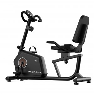 Pegasus® Καθιστό Ποδήλατο R5
