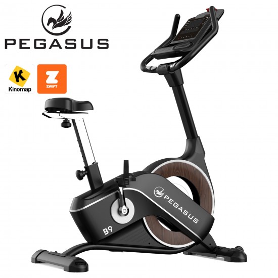 Ποδήλατο Γυμναστικής Pegasus® B9 