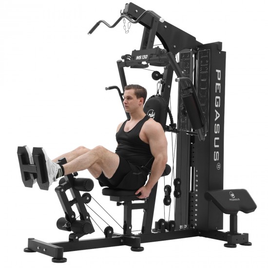 Πολυόργανο Pegasus® MS-130 