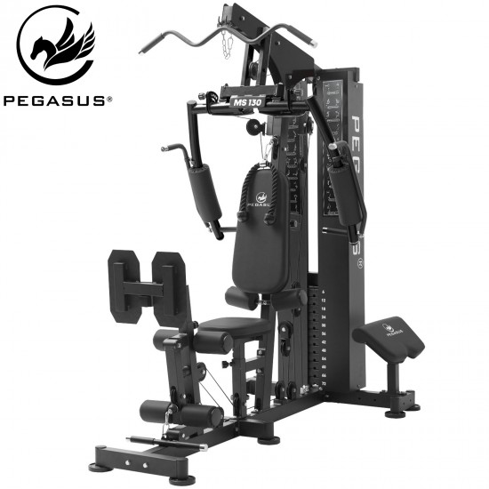 Πολυόργανο Pegasus® MS-130 