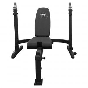 Pegasus® Ρυθμιζόμενος Πάγκος για Βάρη PG-5101
