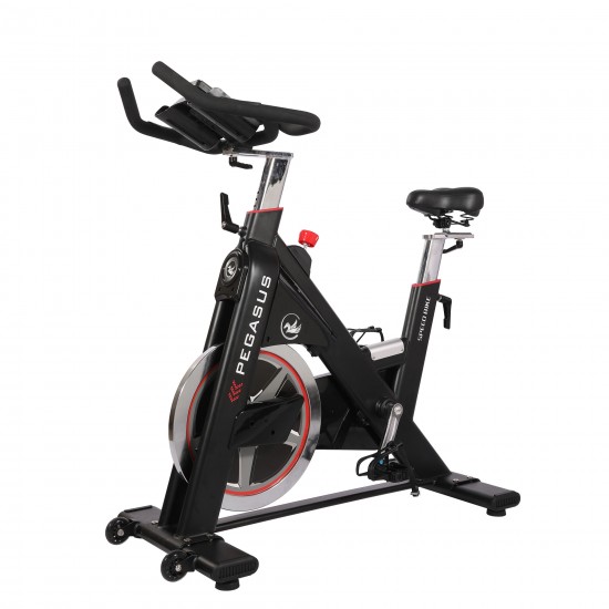 Ποδήλατο Pegasus® Spin Bike PG5 