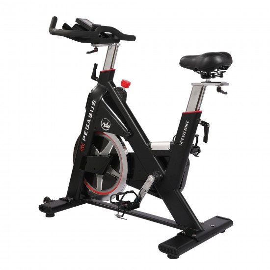 Ποδήλατο Pegasus® Spin Bike PG5 