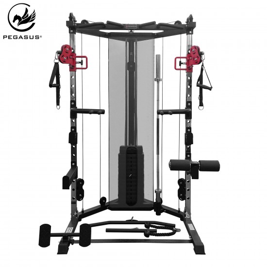 Pegasus® Functional Trainer FT-100 
