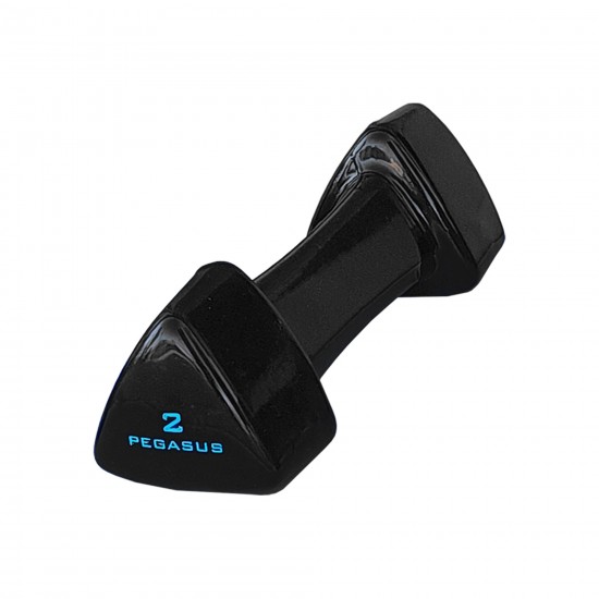 Pegasus® Τρίγωνος Αλτήρας Vinyl 2kg PG-1005 