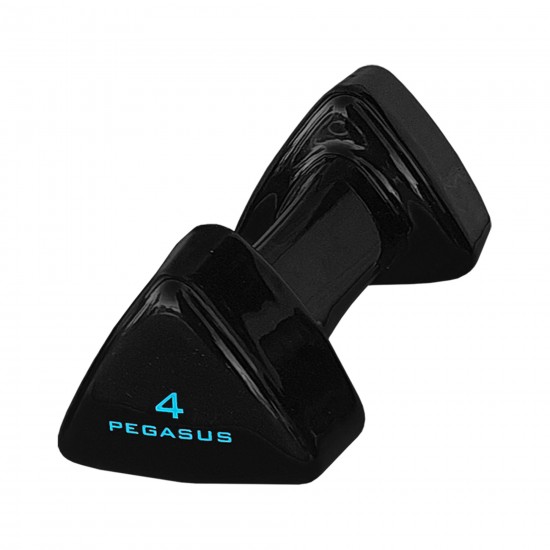 Pegasus® Τρίγωνος Αλτήρας Vinyl 4kg PG-1005 